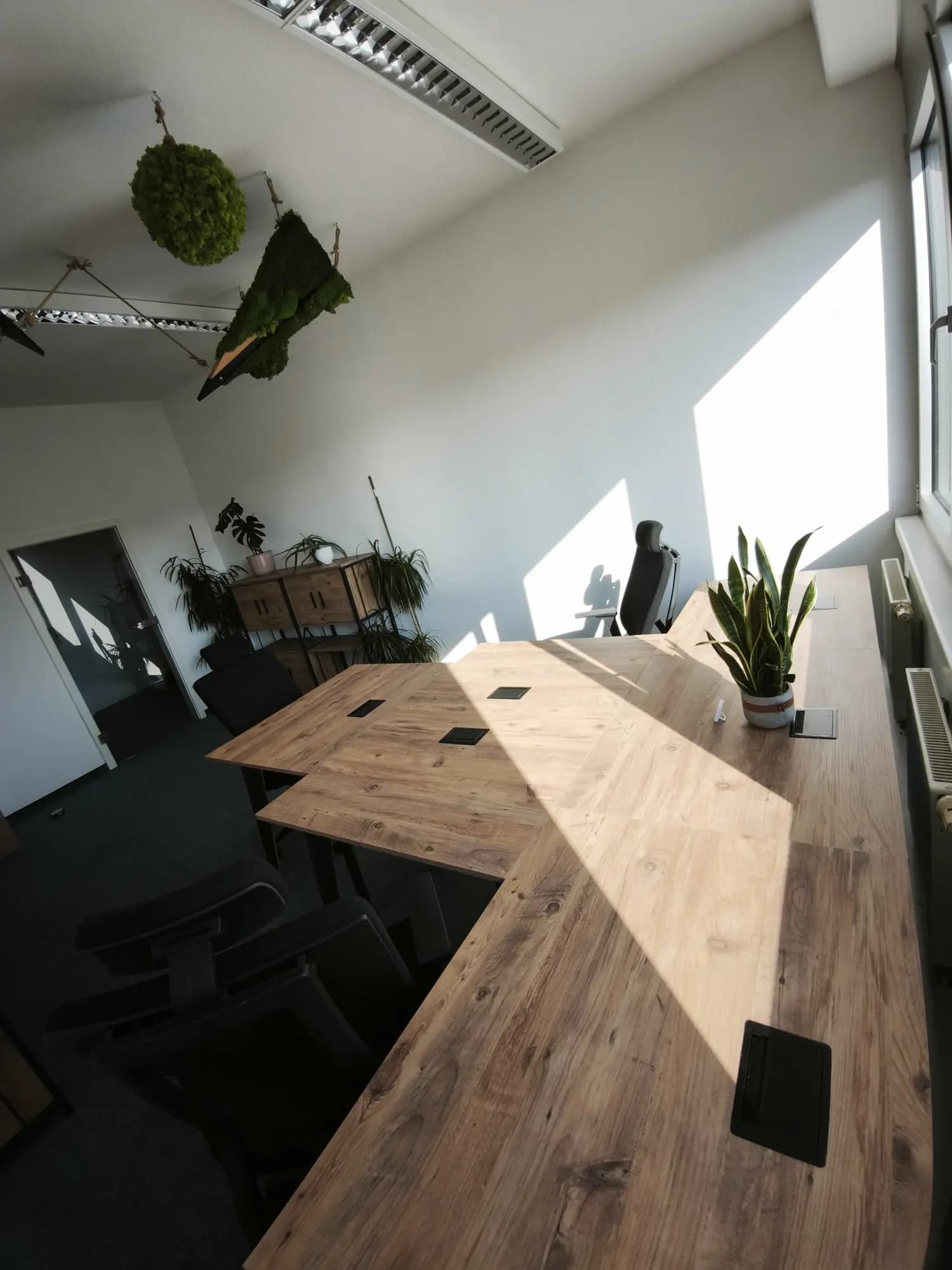Bright workspace with a long wooden desk, two black chairs, a window, and a small plant