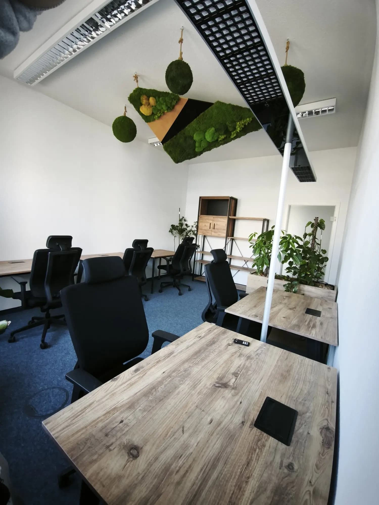 Two white desks with black chairs along a tall window wall, a dark green wall, and white shelves