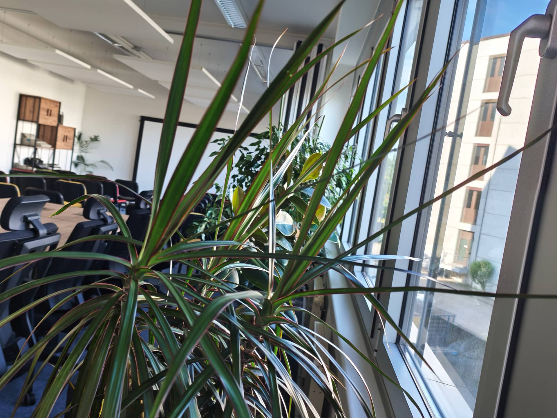 Shared Office im ideenGeberHaus